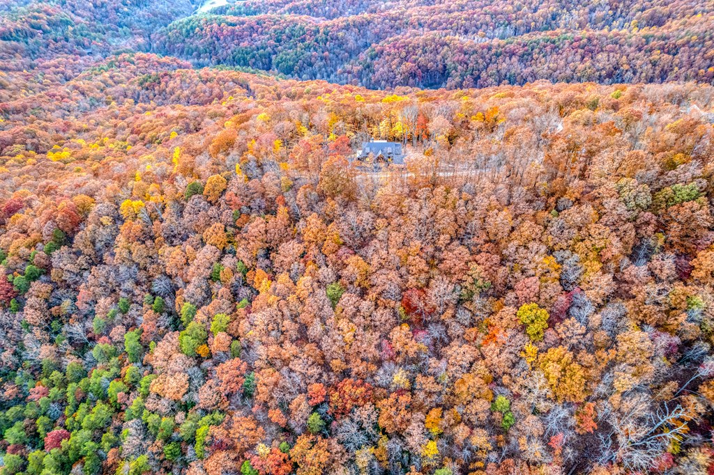 423674 Mineral Bluff Residential