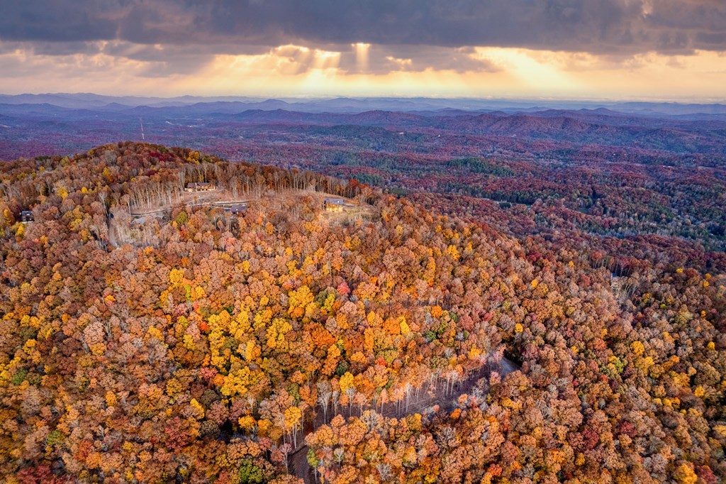 423674 Mineral Bluff Residential