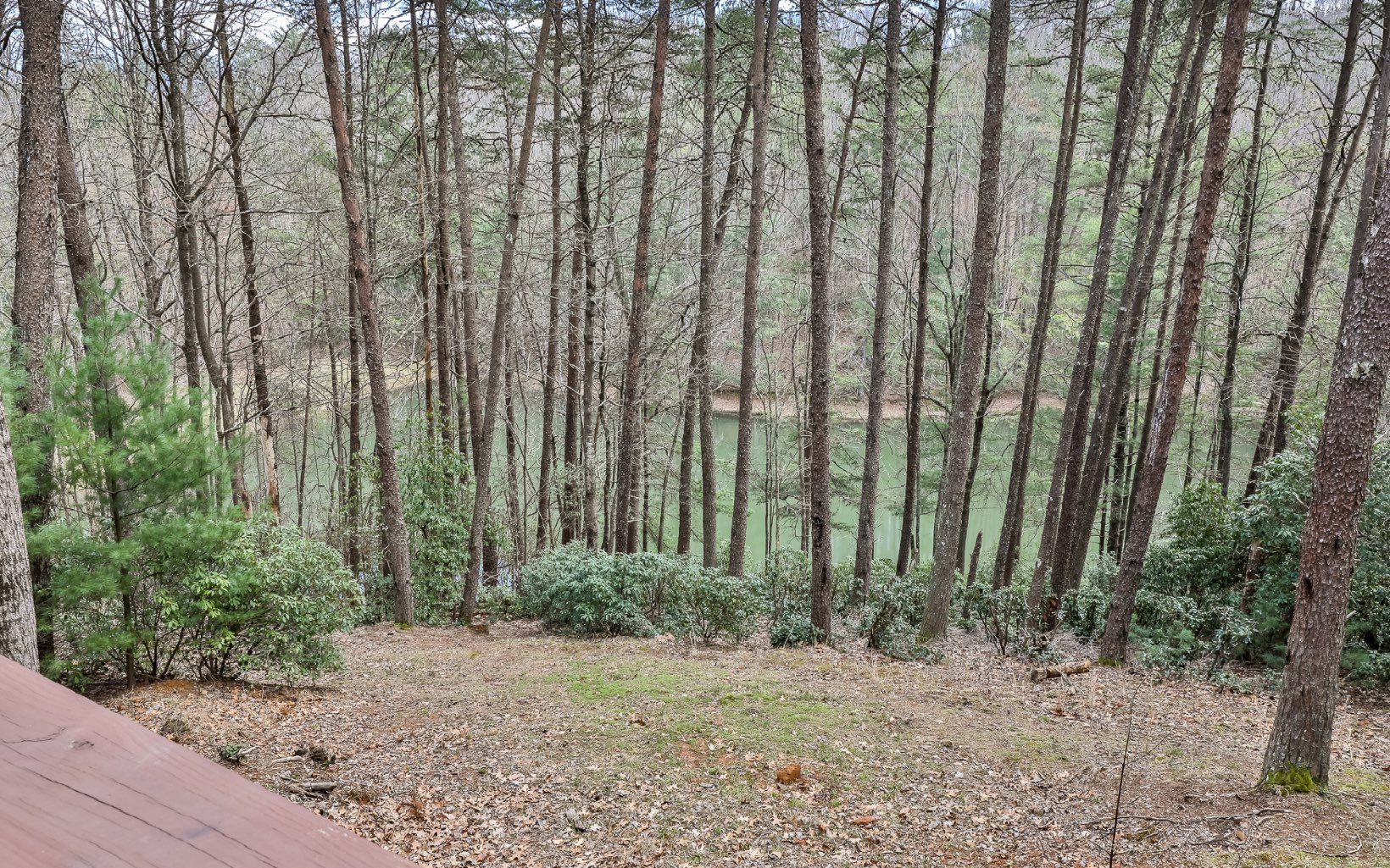 424683 Ellijay Residential