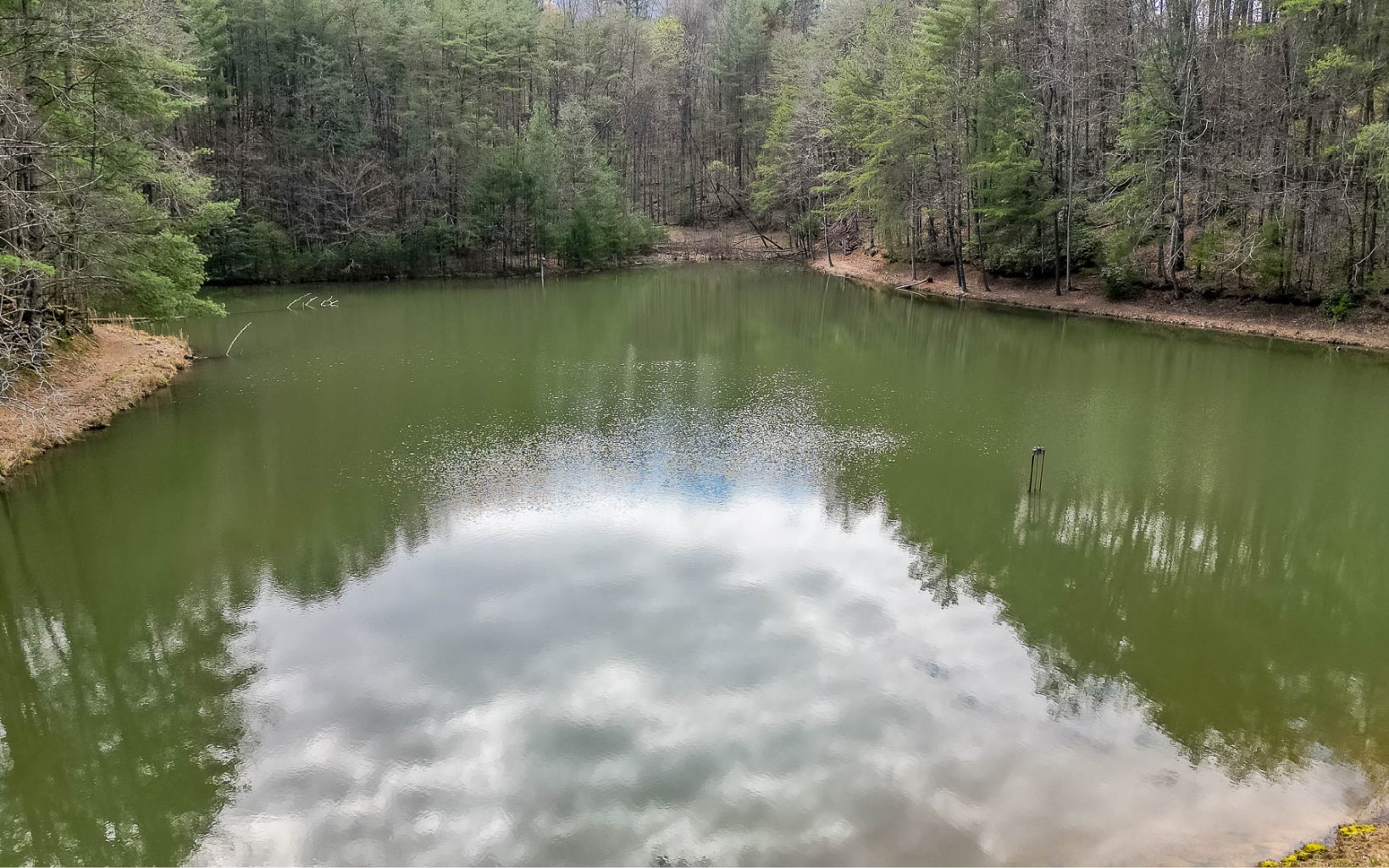 424683 Ellijay Residential