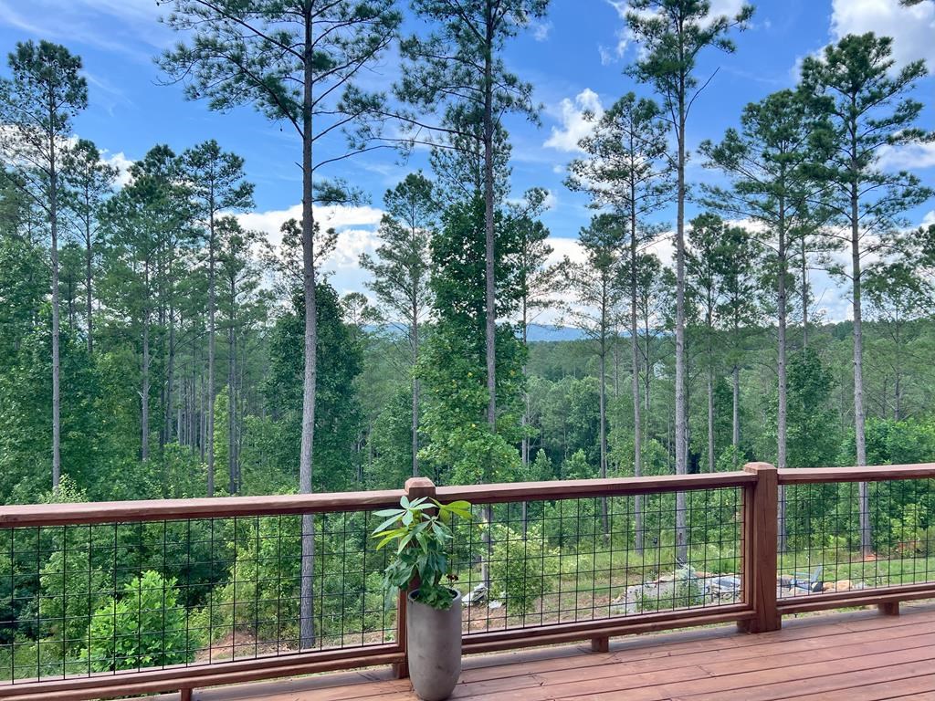 424693 Ellijay Residential