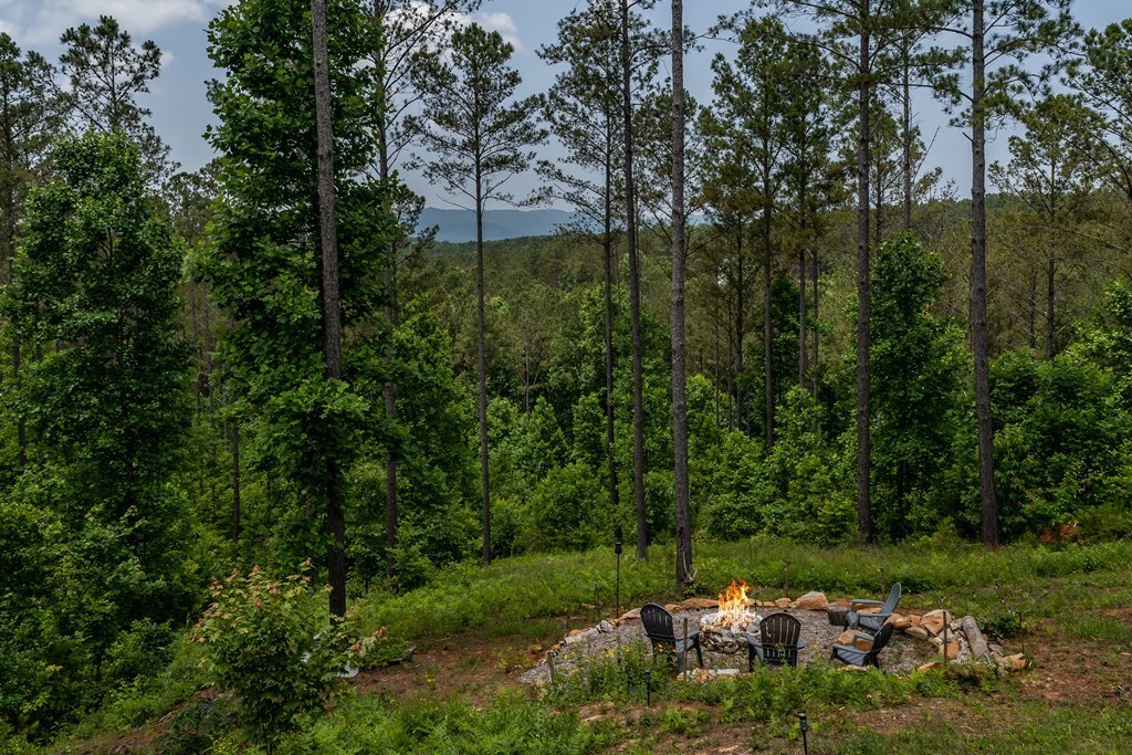 424693 Ellijay Residential