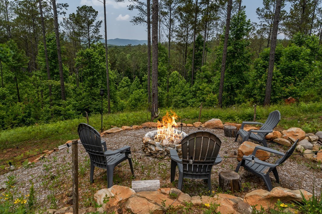 424693 Ellijay Residential