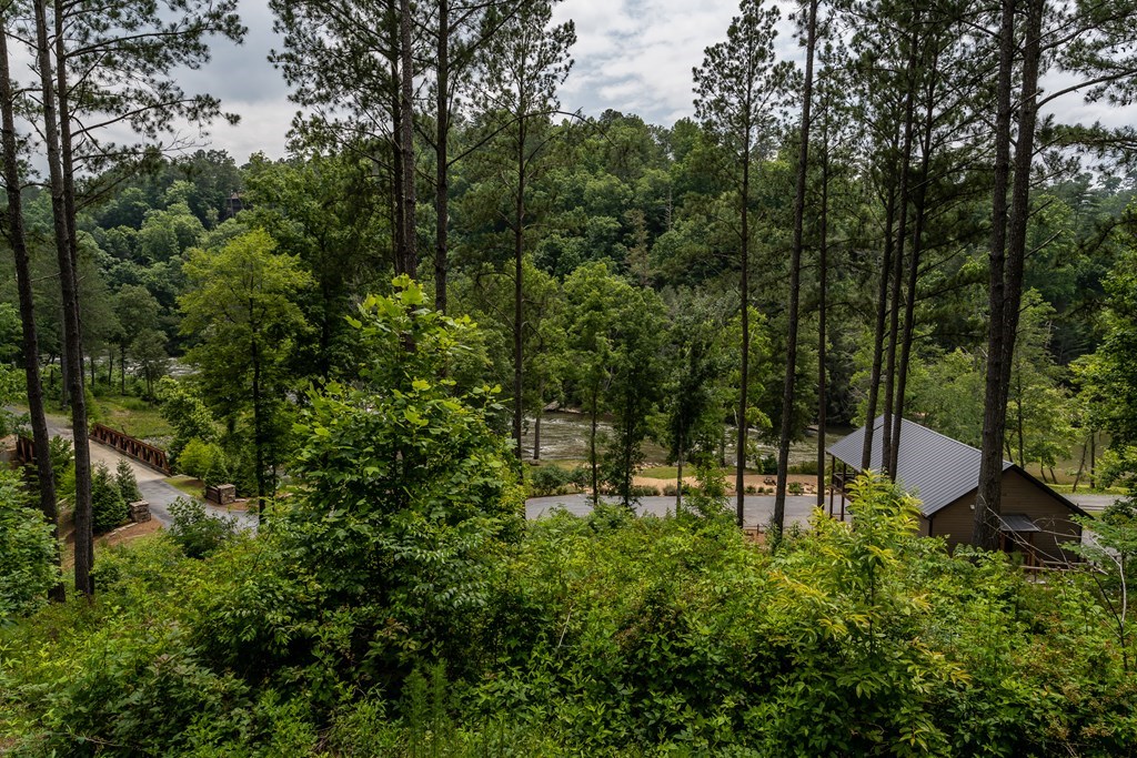 424693 Ellijay Residential