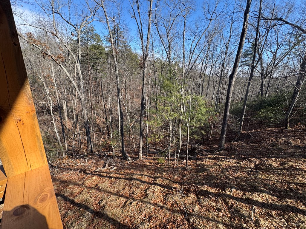 424704 Ellijay Residential