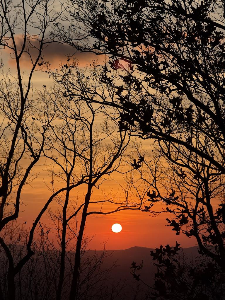 424709 Jasper Residential