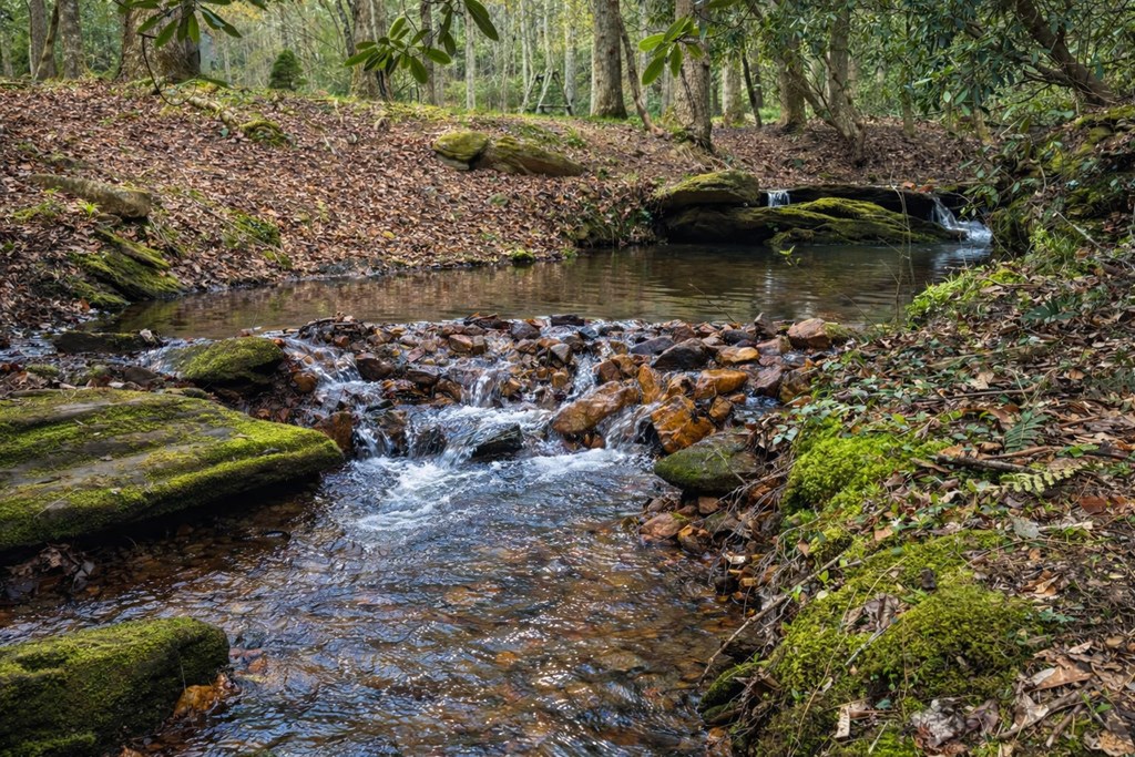 424715 Ellijay Residential