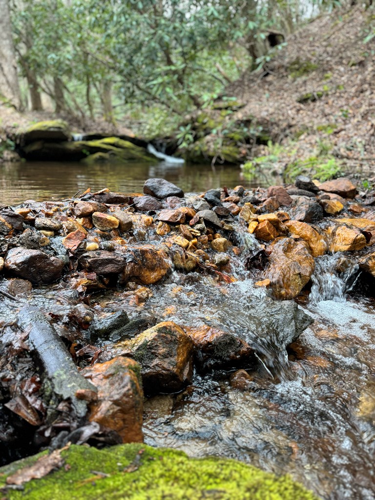 424715 Ellijay Residential