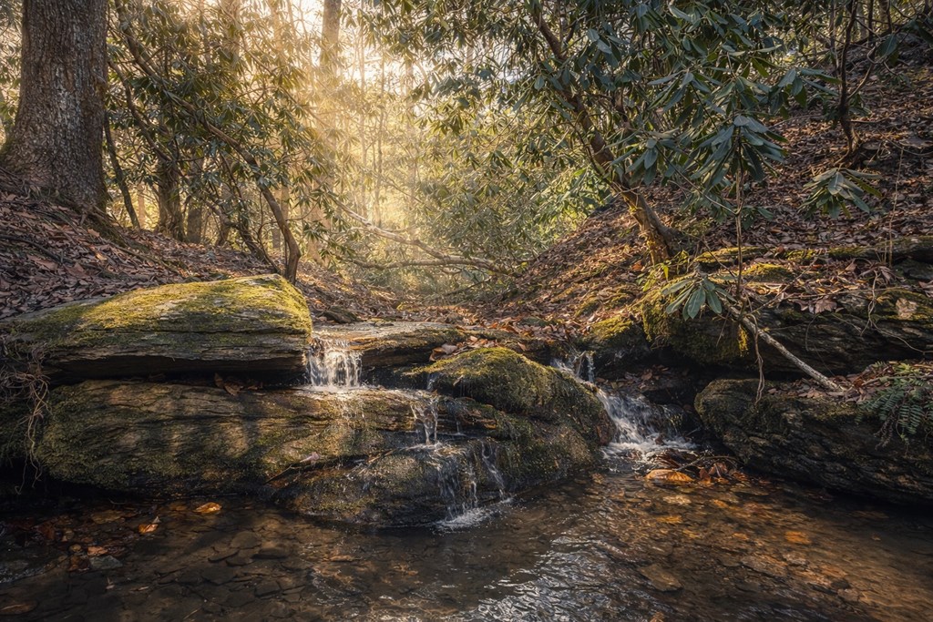 424715 Ellijay Residential