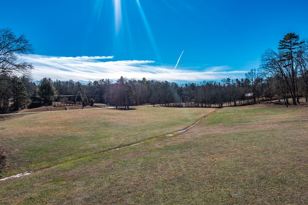 424719 Mineral Bluff Residential