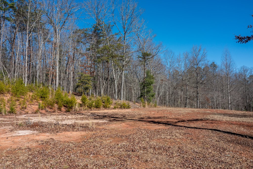 424719 Mineral Bluff Residential