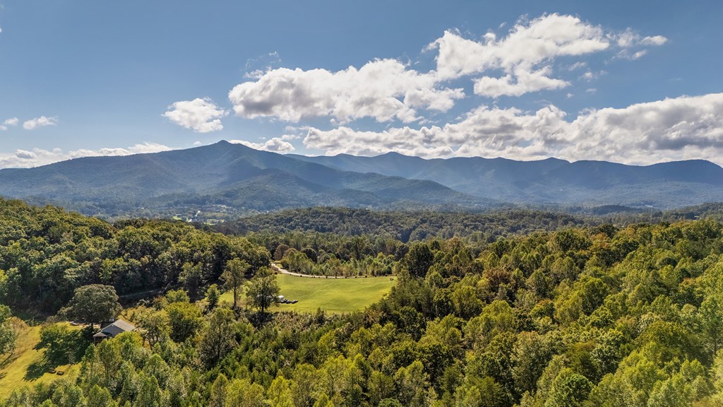 424725 Young Harris Residential