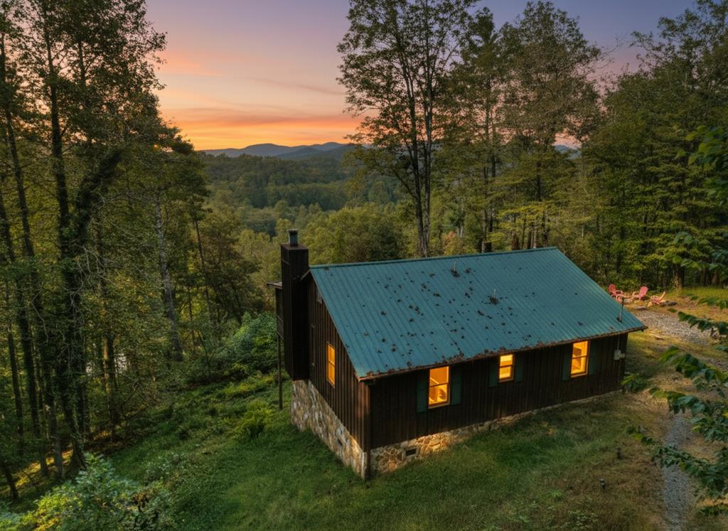 424728 Mineral Bluff 