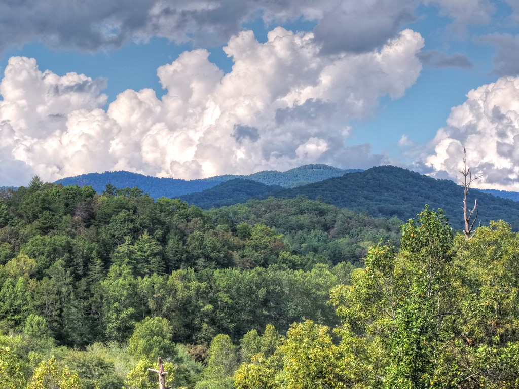 424728 Mineral Bluff Residential