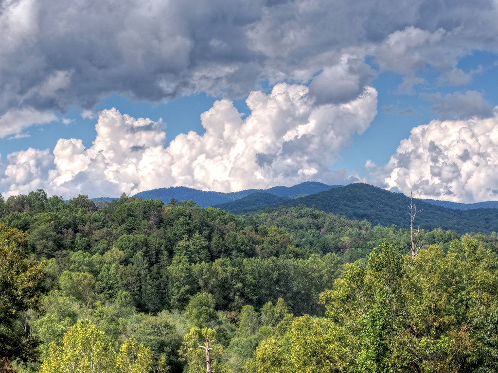 424728 Mineral Bluff Residential