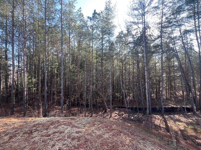 424733 Ellijay Residential