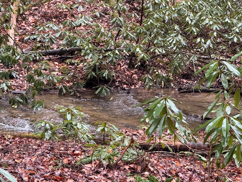 424739 Ellijay Residential