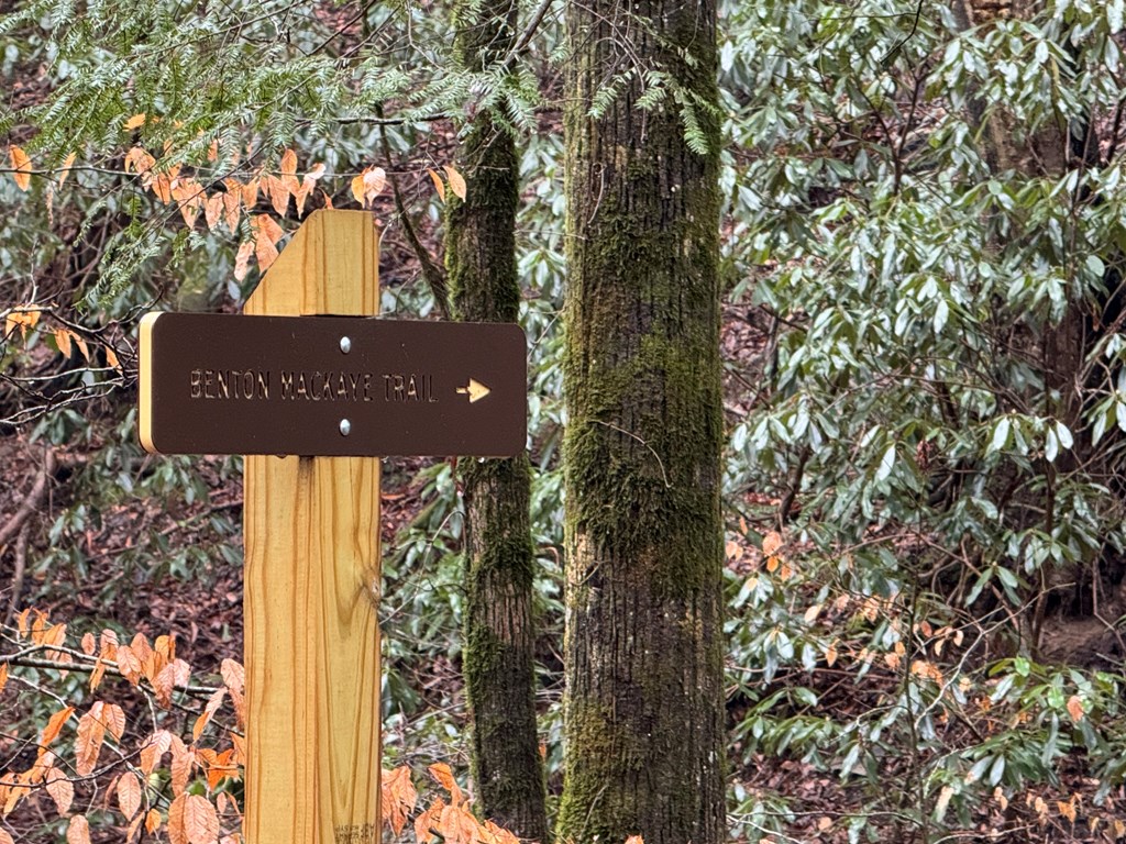 424739 Ellijay Residential