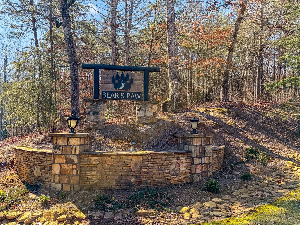 424741 Ellijay Residential