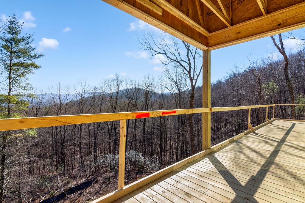 424741 Ellijay Residential