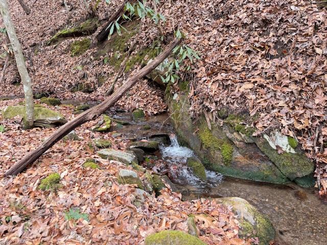 424746 Andrews Residential