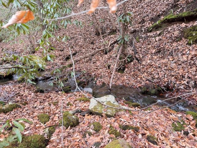 424746 Andrews Residential