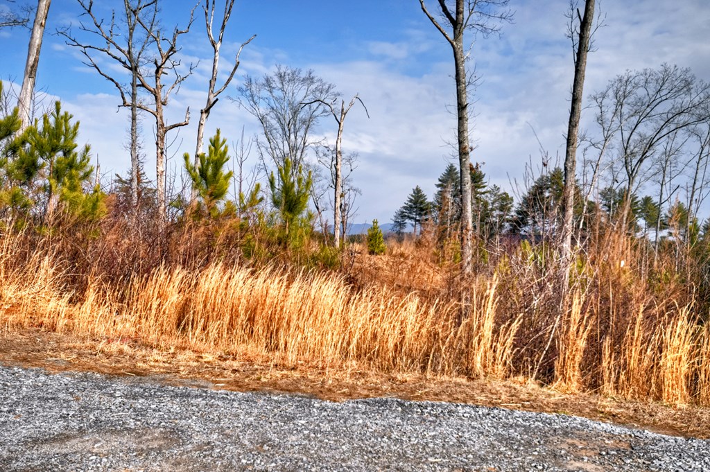 424747 Ellijay Residential