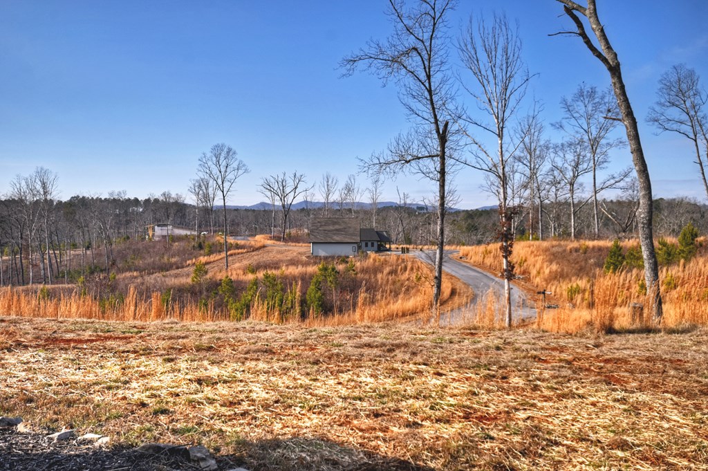 424747 Ellijay Residential