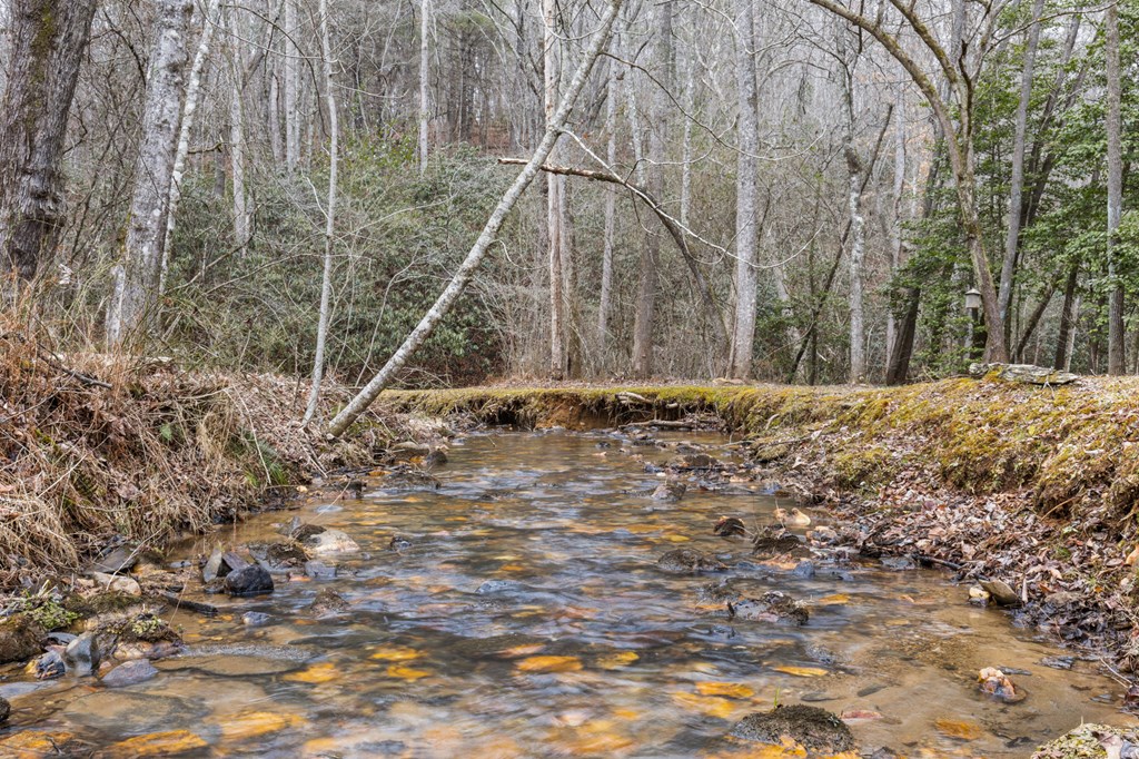 424756 Blue Ridge Residential