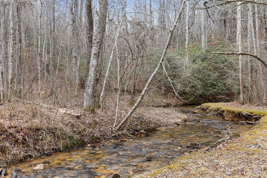 424756 Blue Ridge Residential