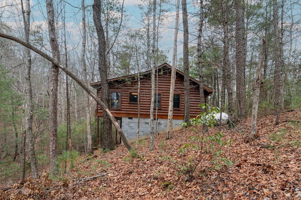 424766 Blue Ridge Residential