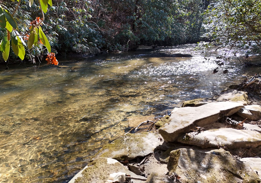 424767 Mineral Bluff Residential