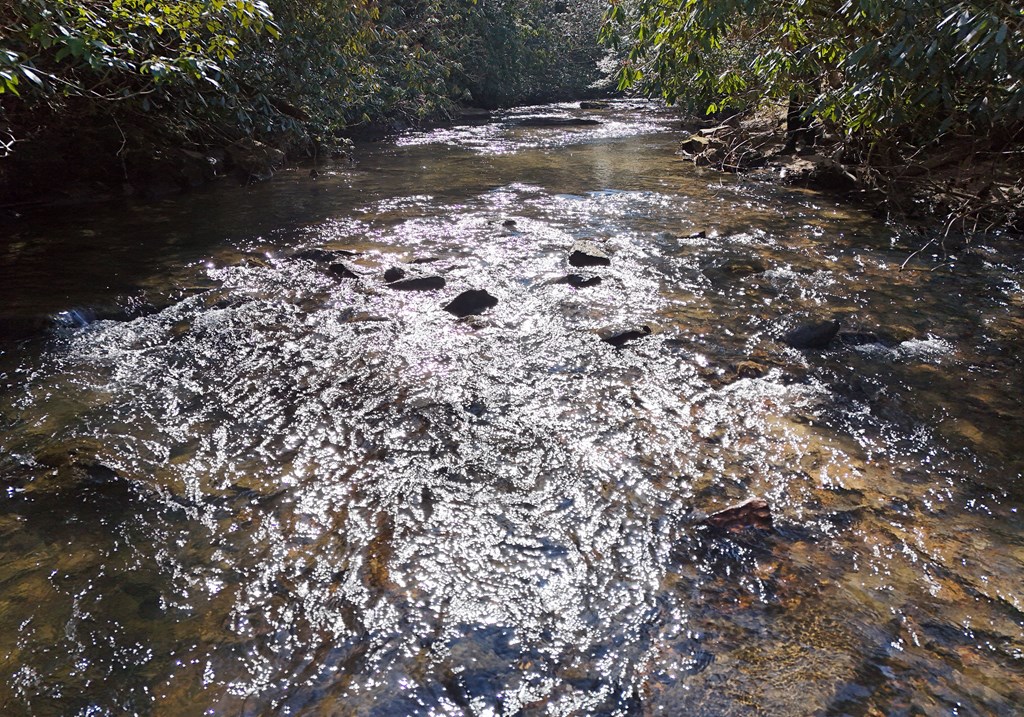 424767 Mineral Bluff Residential