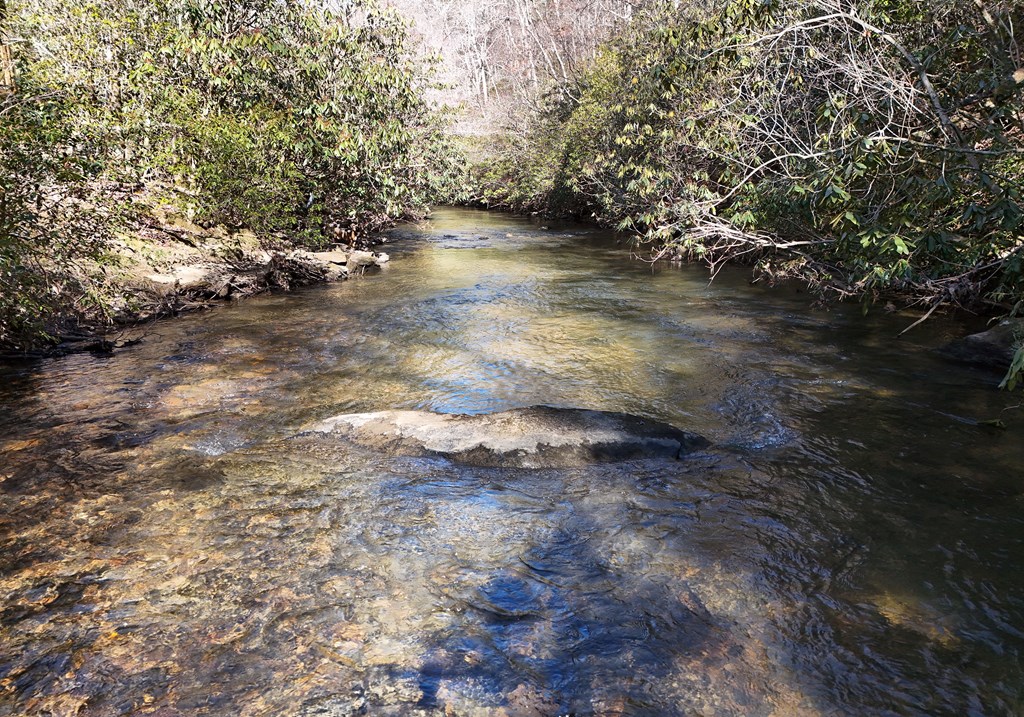 424767 Mineral Bluff Residential