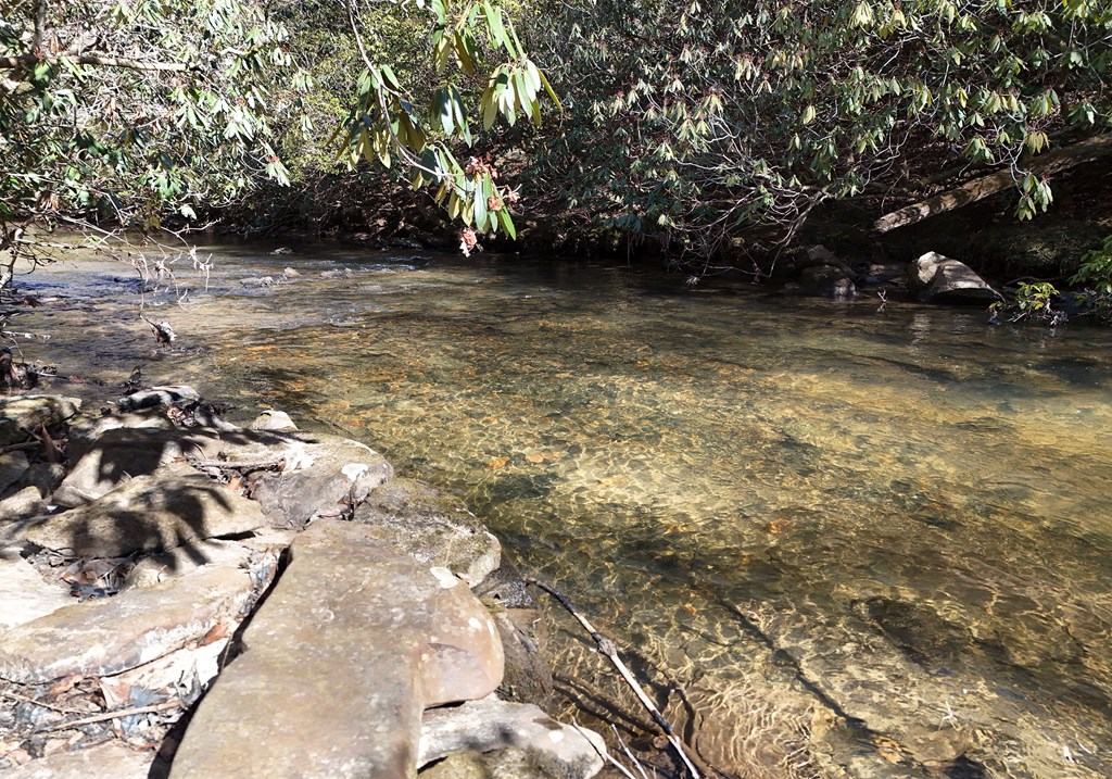 424767 Mineral Bluff Residential