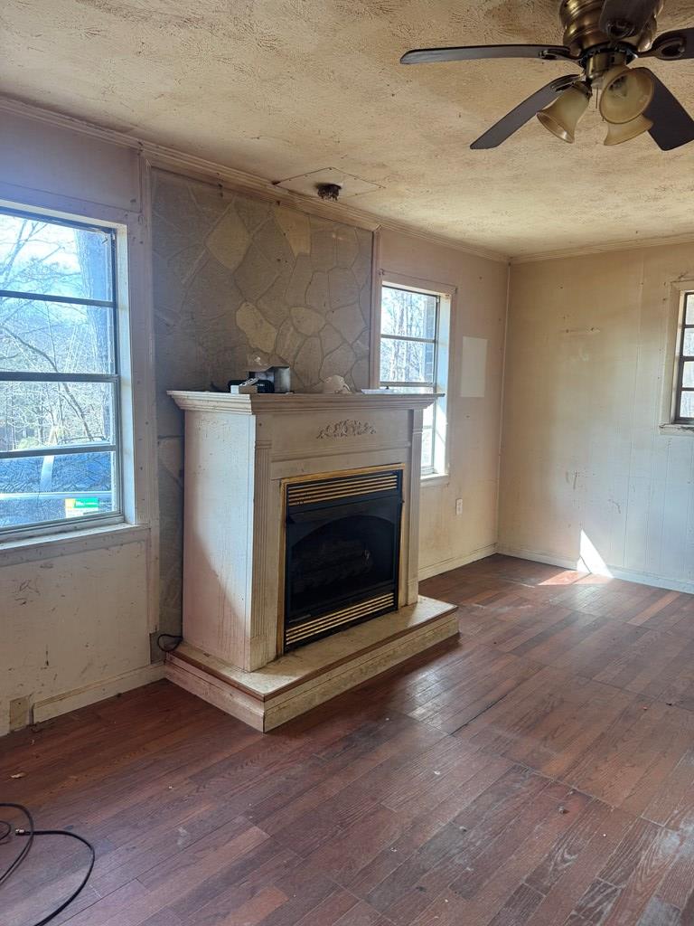 424771 Ellijay Residential