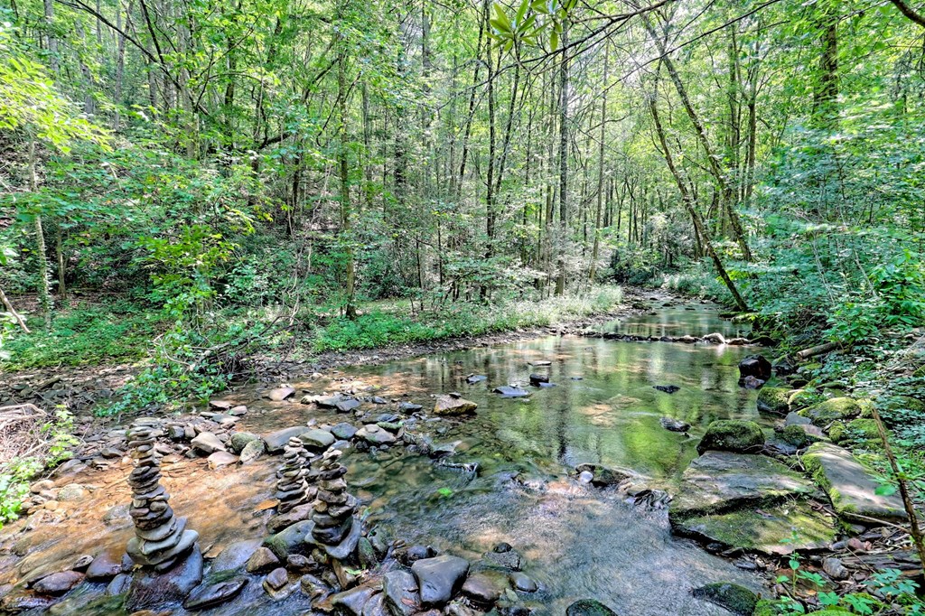 424812 Blairsville Residential