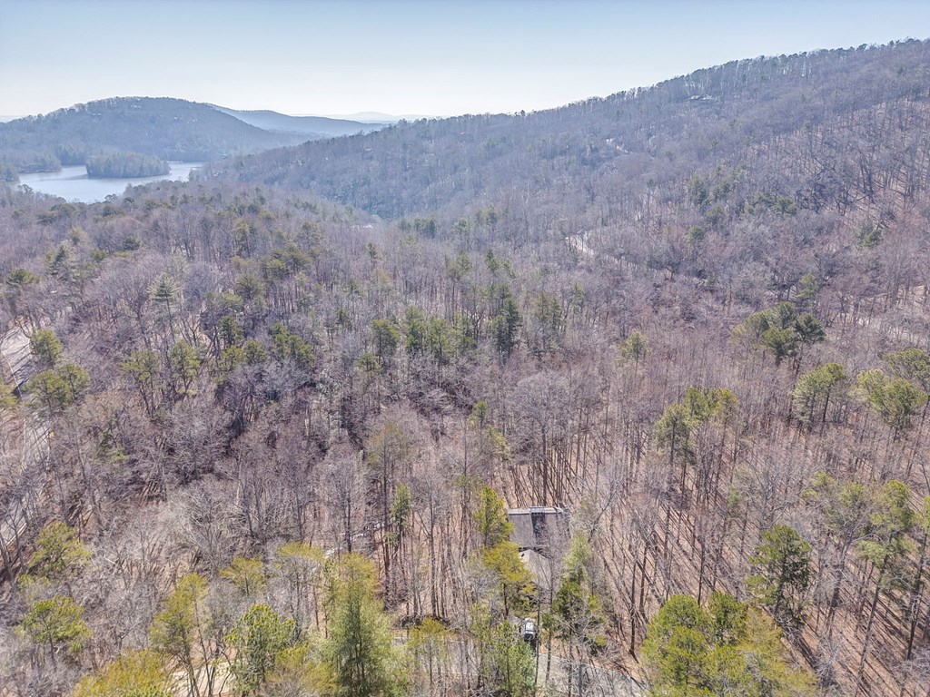 424828 Big Canoe Residential