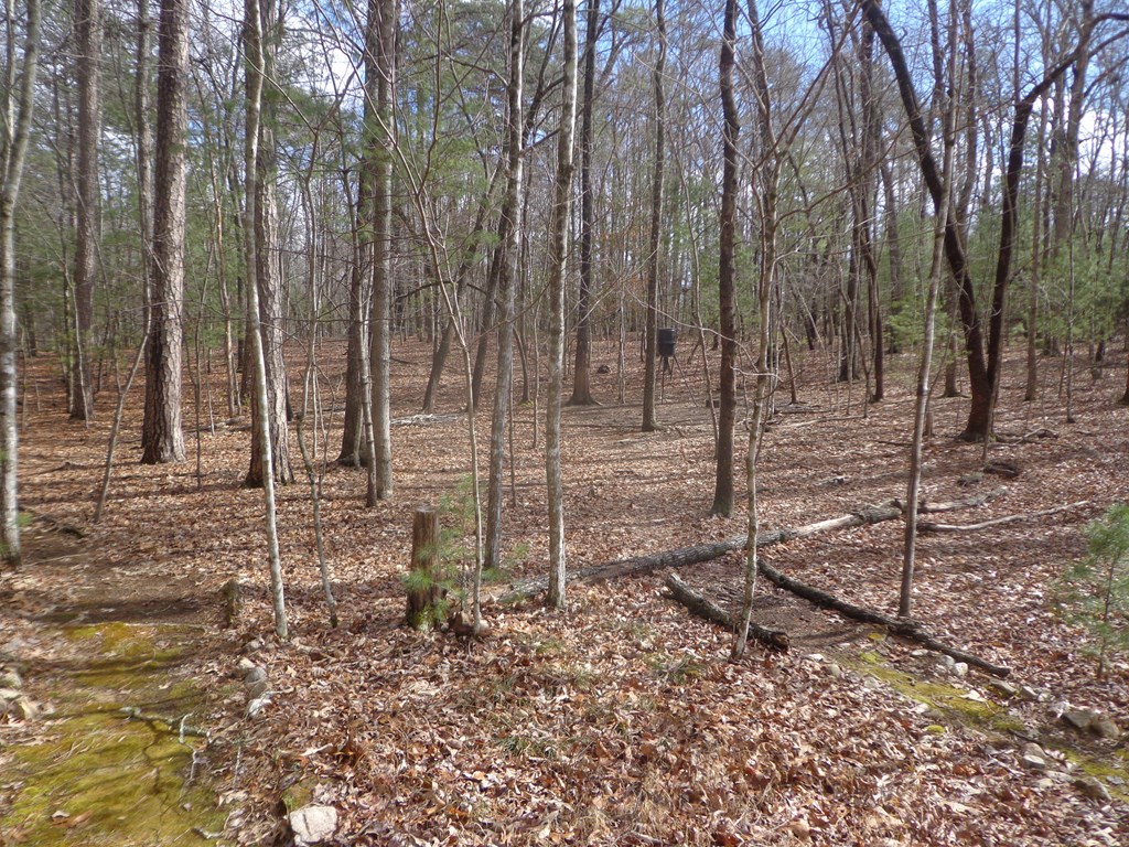 424840 Morganton Residential