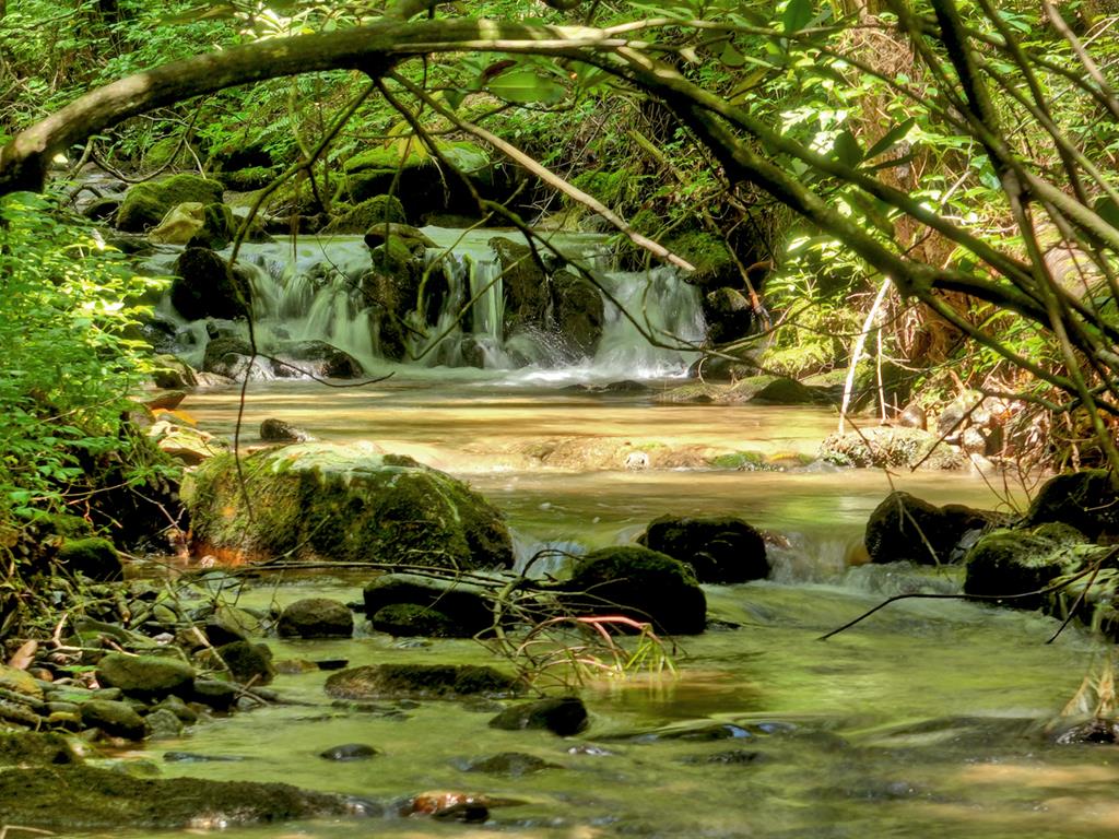 424842 Ellijay Residential