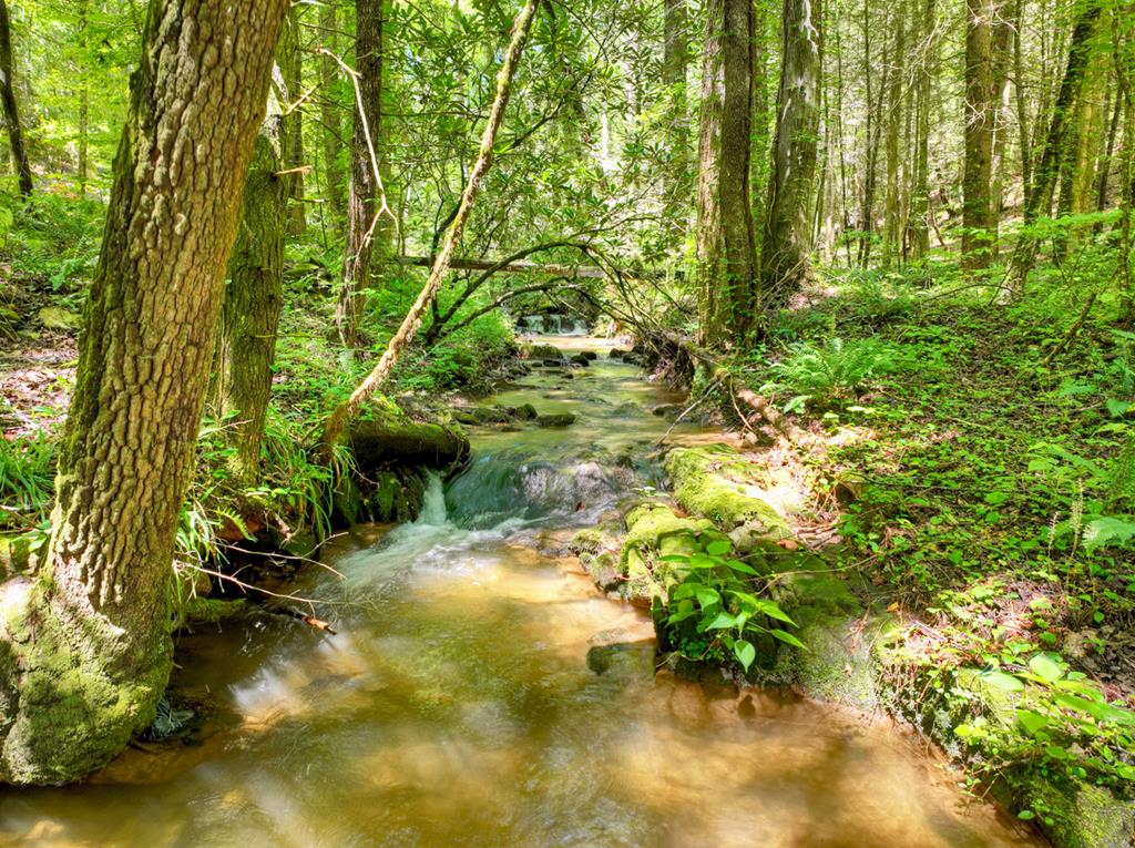 424842 Ellijay Residential