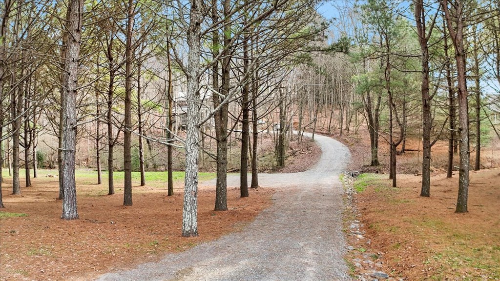 424847 Ellijay Residential