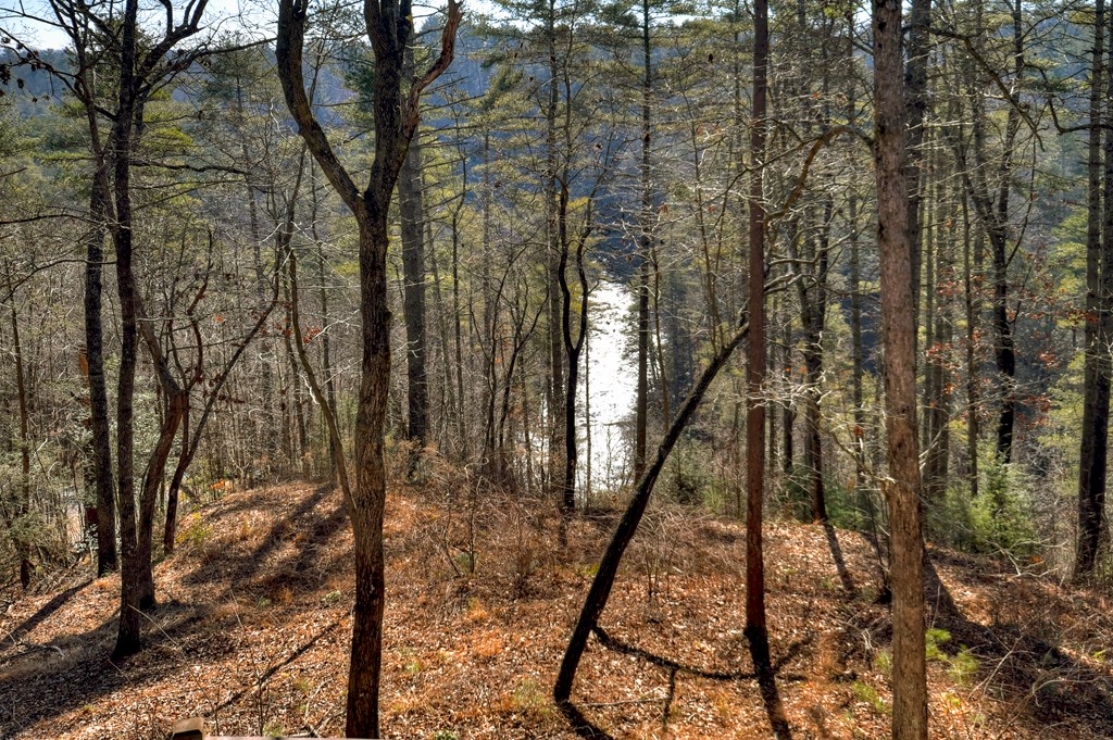 424853 Ellijay Residential