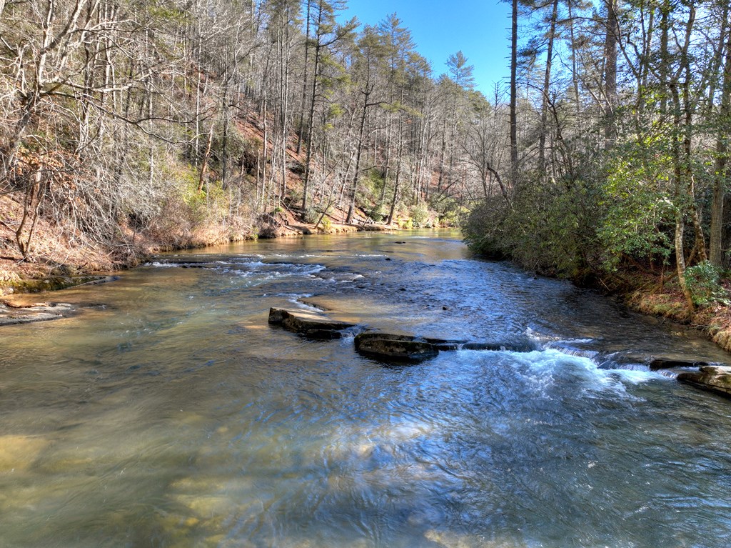 424853 Ellijay Residential