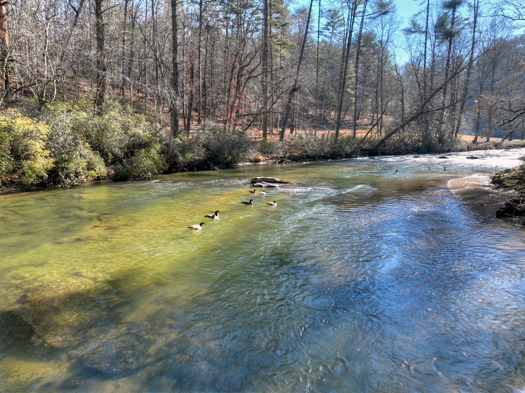 424853 Ellijay Residential