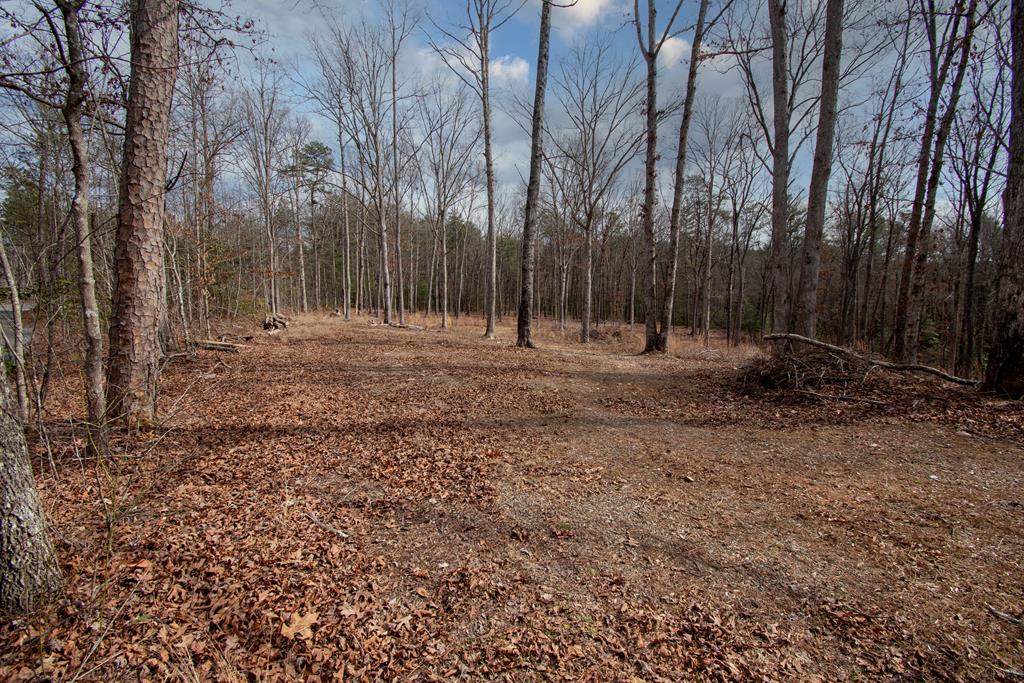 424863  Land