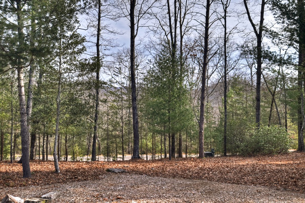 424865 Ellijay Residential