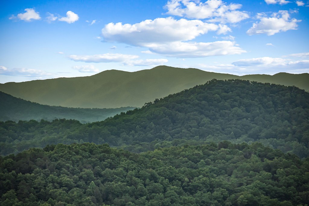 424868 Mineral Bluff Residential