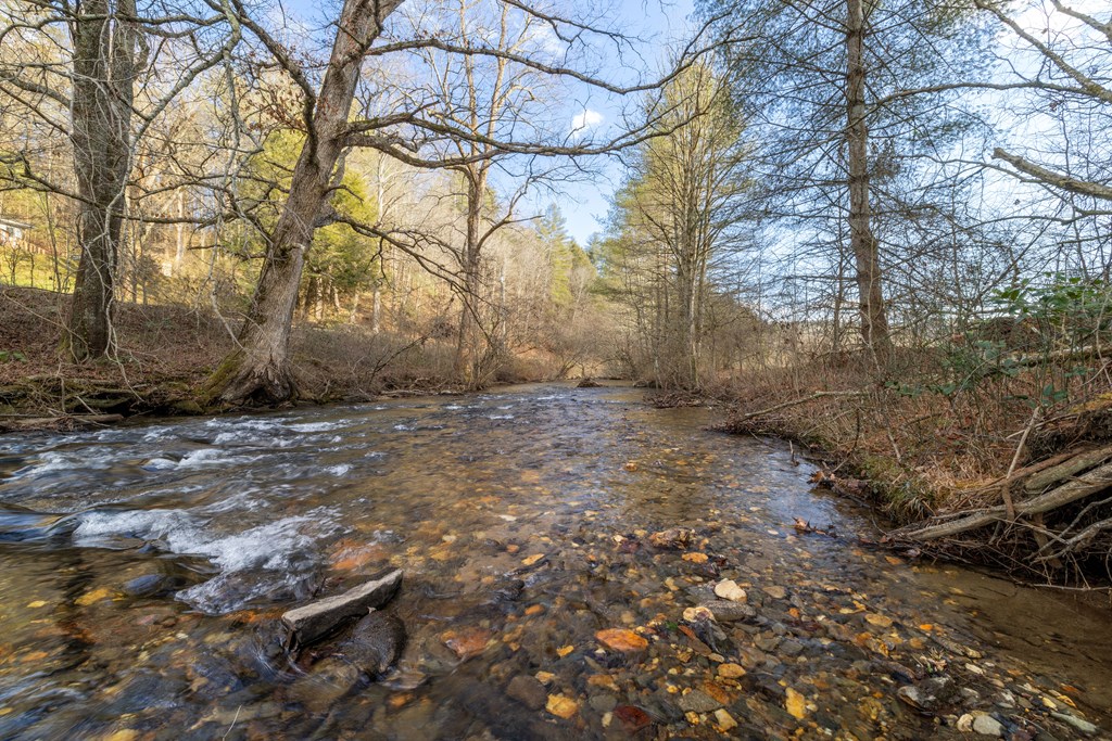 424894 Ellijay Residential