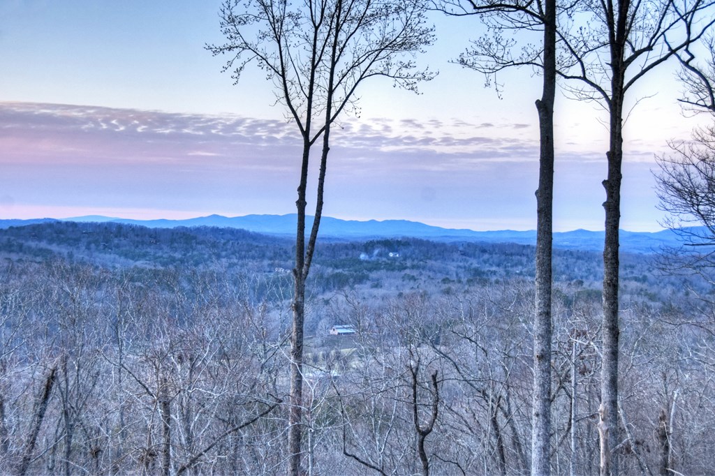 424899 Blue Ridge Residential